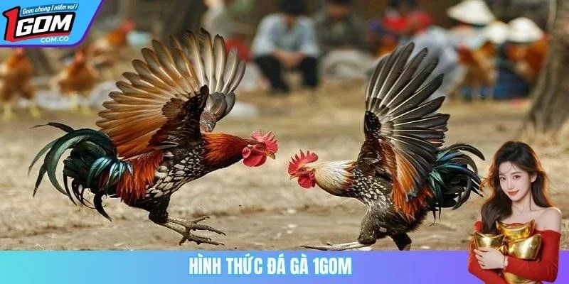 Hình thức đá gà 1GOM