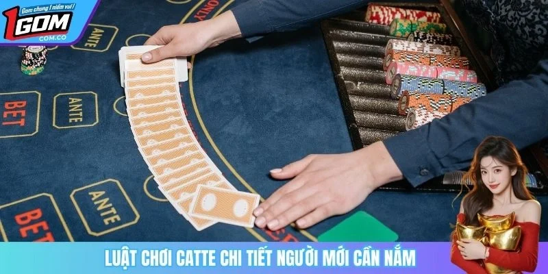 Luật chơi catte chi tiết người mới cần nắm