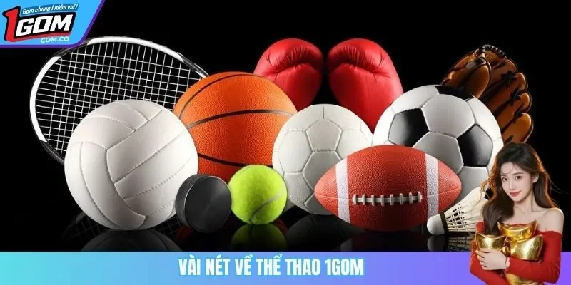 Vài nét về thể thao 1GOM