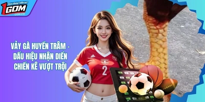 Vảy Gà Huyền Trâm - Phân Loại Và Cách Huấn Luyện Chiến Kê